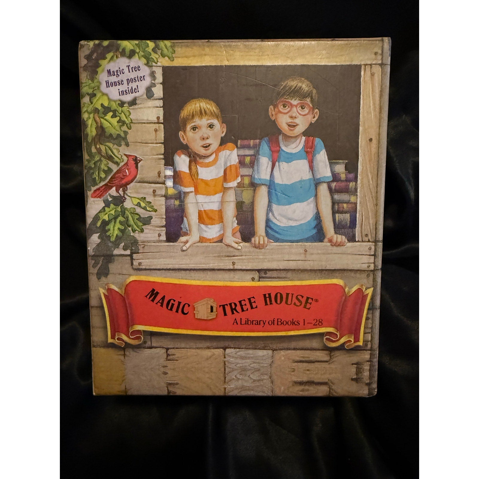 Magic Tree House 1–28 Box Set EUC + Timeline poster