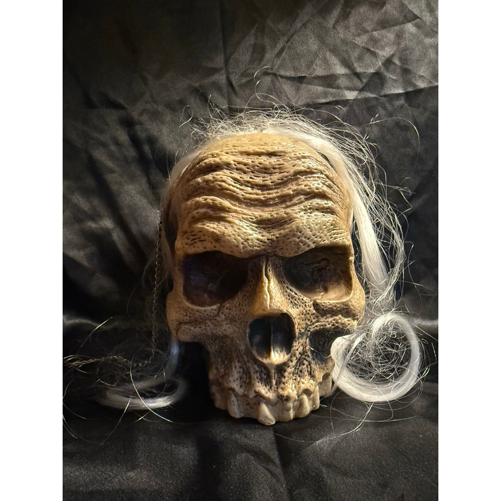 Hanging motion detector Halloween Skull prop with sound effects