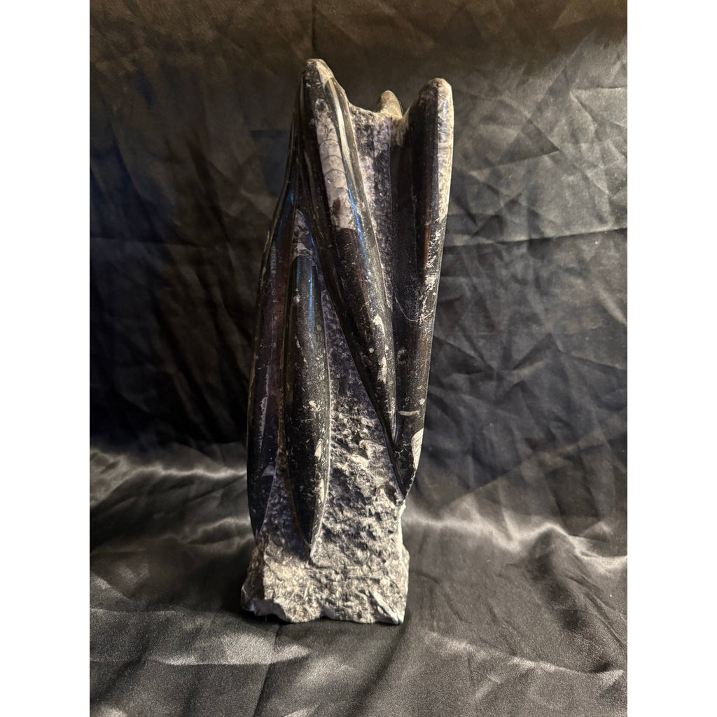 Orthoceras Fossil Tower 5LB 90Z 12” from Morocco Prehistoric