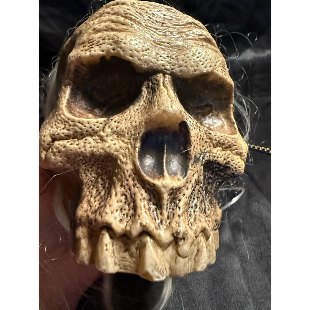 Hanging motion detector Halloween Skull prop with sound effects