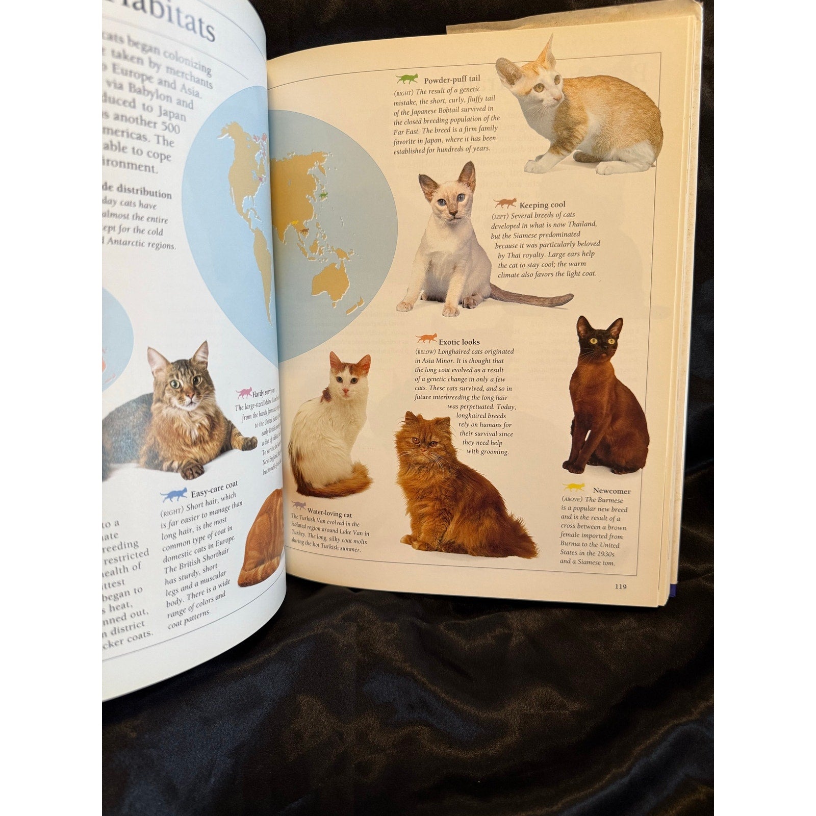 The Complete Illustrated Guide to Cat Care & Behavior Hardcover w dust jacket EUC