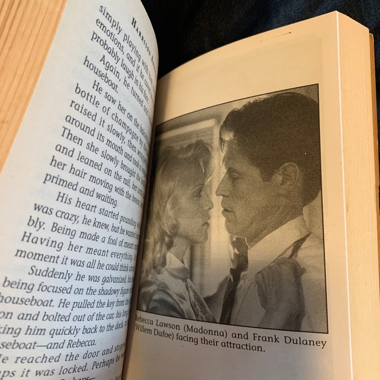Vintage Paperback DEADLY EVIDENCE 1993 based on MADONNA film Body of Evidence