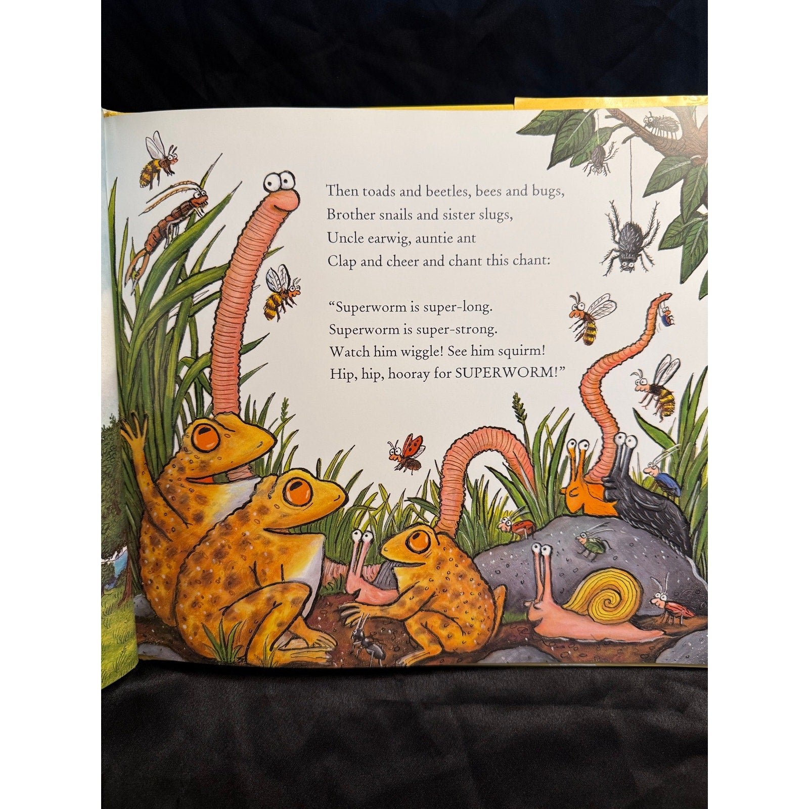 Superworm hardcover with dust jacket by Donaldson, Julia; Scheffler