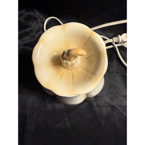 Better Homes and Gardens Gourd wax warmer No Box