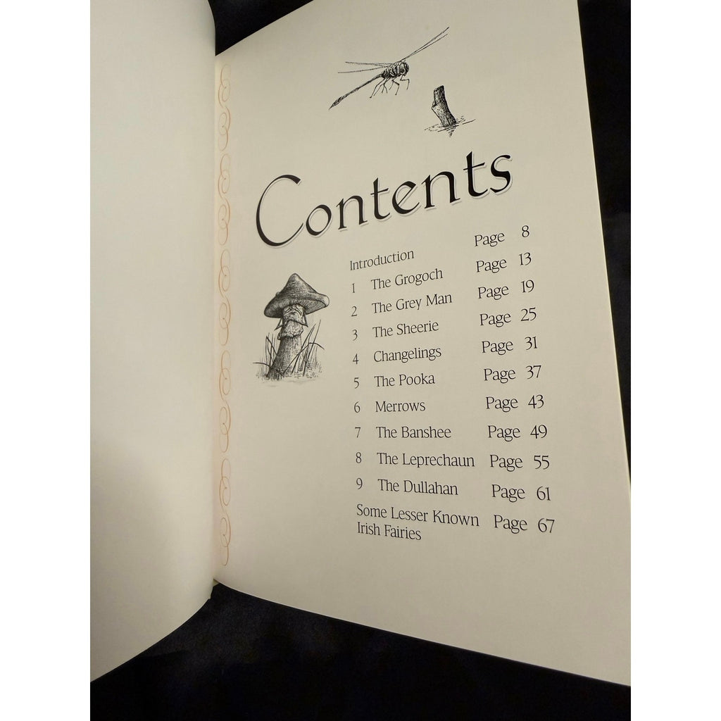 A Field Guide to Irish Fairies by Bob Curran 1997 Hardcover