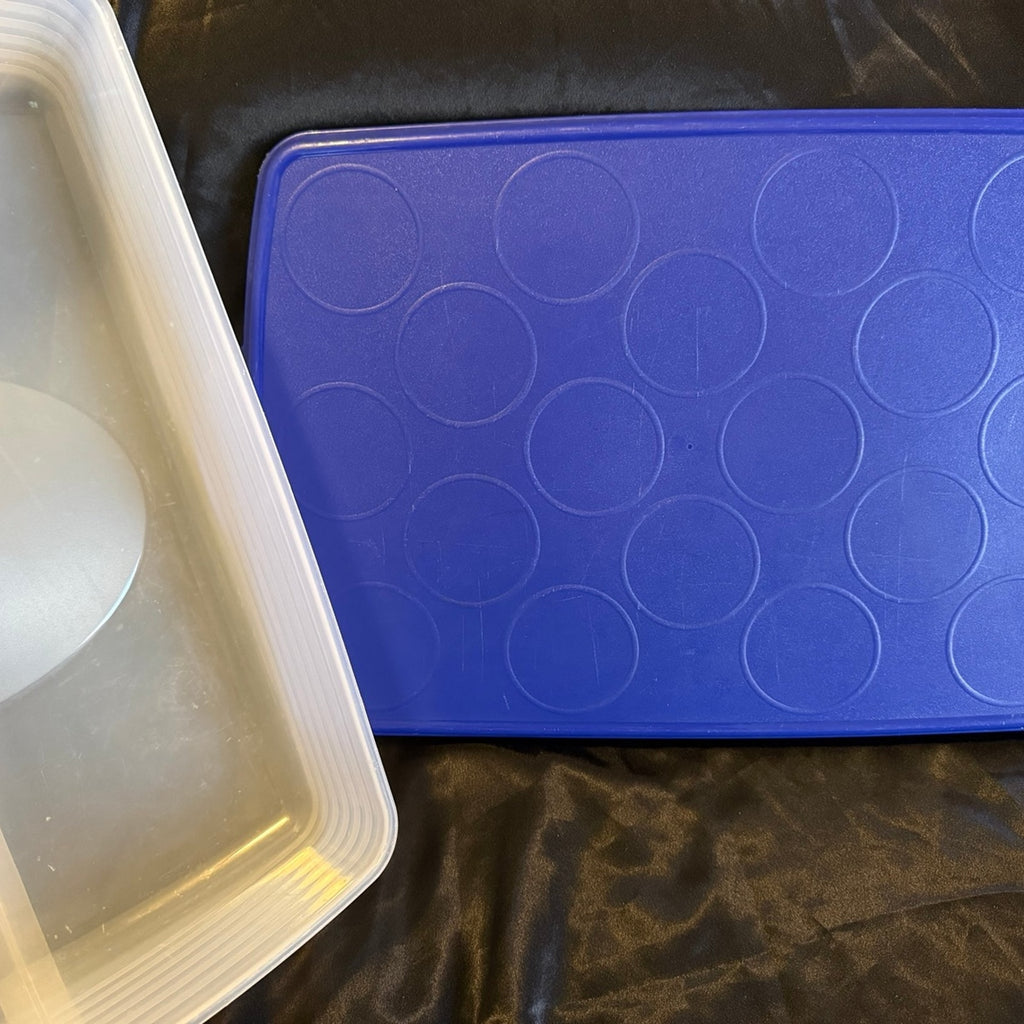 Tupperware Rectangular Take N Bake Cupcake Cake Carrier Blue