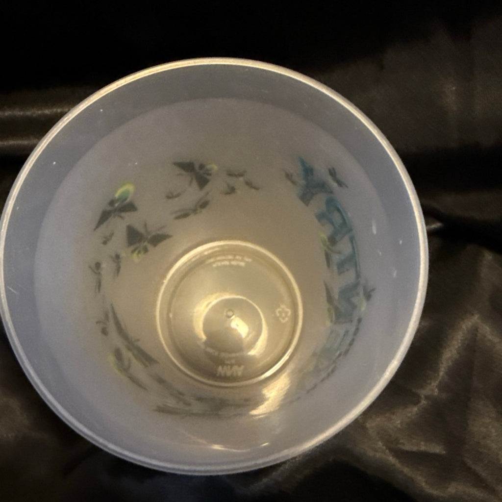 Phish Coventry Original Beverage Cup From Festival Trey Anastasio