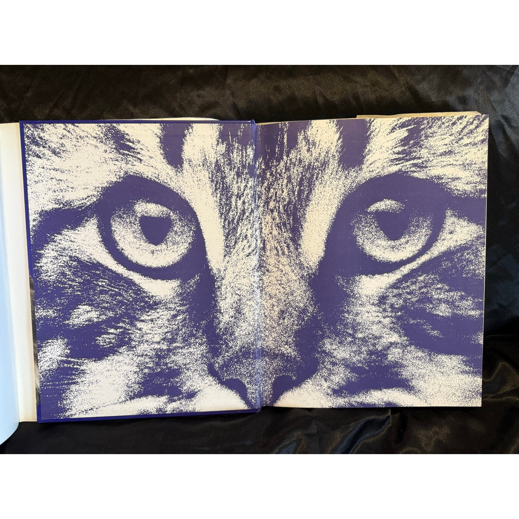 The Complete Illustrated Guide to Cat Care & Behavior Hardcover w dust jacket EUC