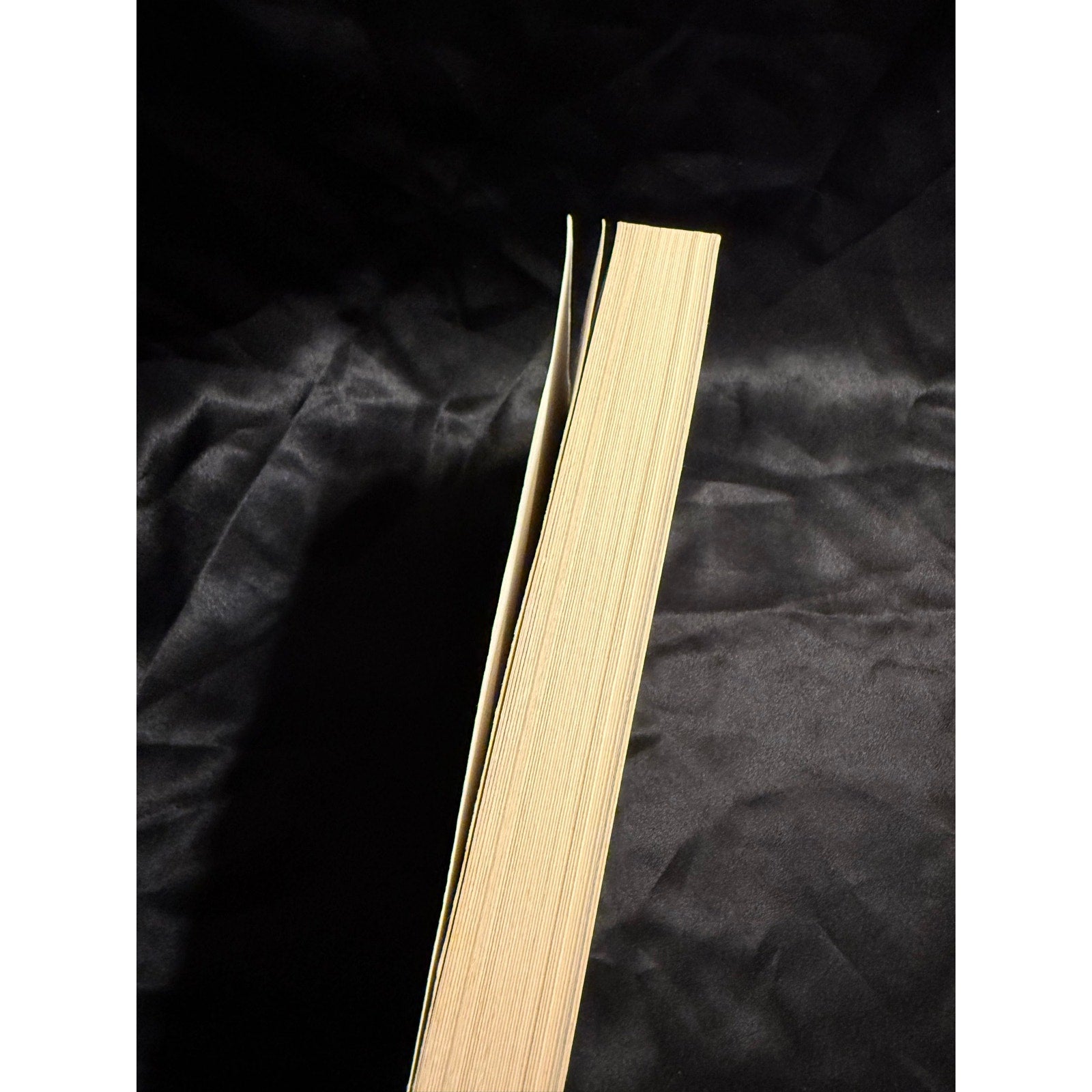 Orange Is the New Black: My Year in a Women's Prison paperback by Piper Kerman Netflix series