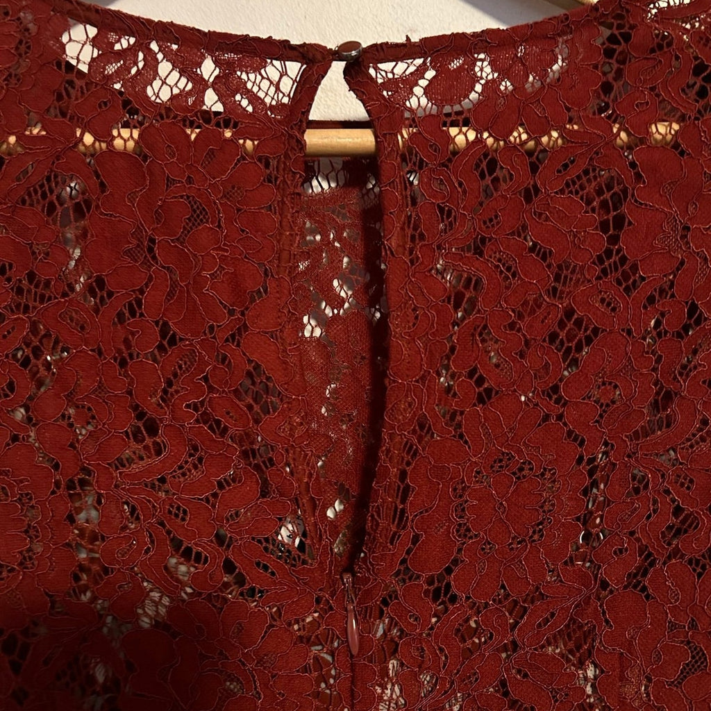 Anthropologie Plenty by Tracy Reese Lace Pleated Midi Dress Women’s Sz 4
