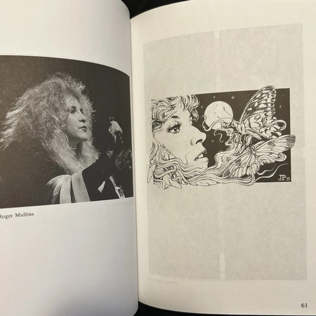 LADY OF THE STARS: STEVIE NICKS By Edward Wincentsen