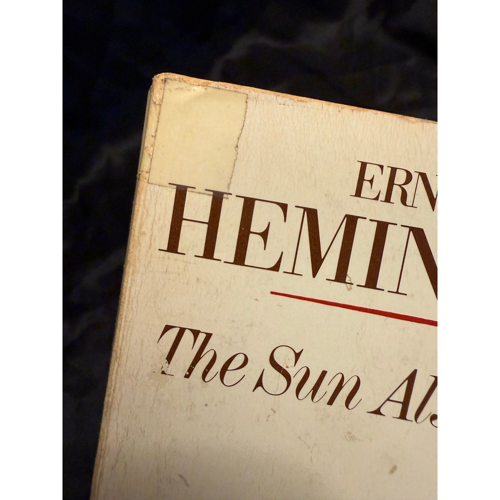 Vintage 1954 print The Sun Also Rises Ernest Hemingway
